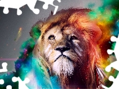 Lion, mane, colors, dispelled