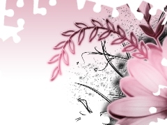 Gerbera, Pink, Colourfull Flowers