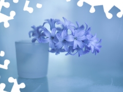 glass, vase, blue, Colourfull Flowers, hyacinth