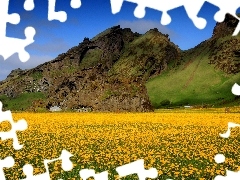 Mountains, puffball, common, Flowers