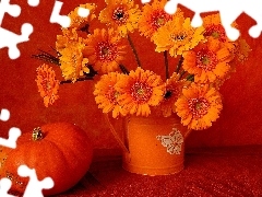 bouquet, pumpkin, composition, Gerbers