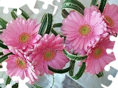 composition, Pink, gerberas