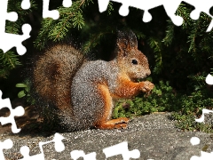 conifer, squirrel, Stone