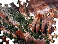 canyon, viewes, Conifers, trees