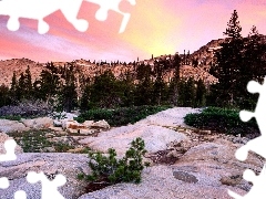 Conifers, rocks, Mountains, green ones, peaks