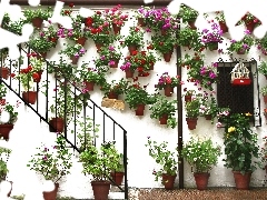 Spain, Festival of Gardens, Cordoba