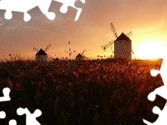 rays, Windmills, corn, sun