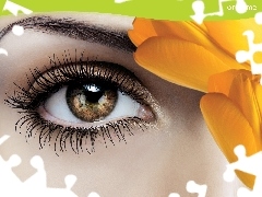 cosmetics, Oriflame, Women, make-up, eye