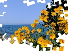 sea, Yellow Honda, Cosmos