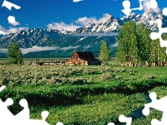 Cottage, Mountains, Meadow