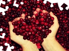 cranberry, Heart, hands