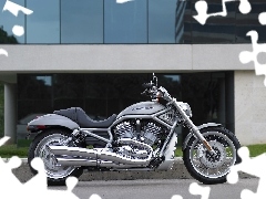 Harley Davidson V-Rod, silver, Cruiser
