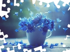 cornflowers, cup