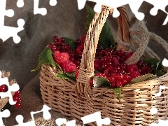 currants, basket, raspberries