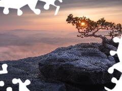 Saxony, Germany, Saxon Switzerland National Park, Děčínská vrchovina, pine, Fog, Great Sunsets, trees, Lilienstein Mountain