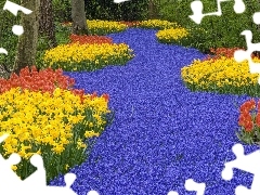 Daffodils, Tulips, many, flowers, forest