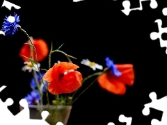 Vase, papavers, daisies, cornflowers