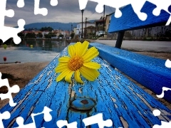 Blue, Yellow Honda, Daisy, Bench