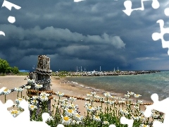 sea, clouds, daisy, dark