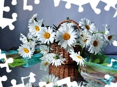 daisy, basket, White