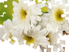 wicker, White, daisy, basket