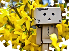 Danbo, Spring, Forsythia