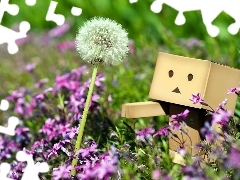 Flowers, Meadow, Danbo, Pink, summer, dandelion, blur