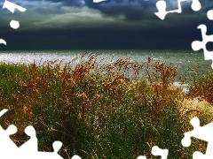 dark, clouds, high, grass, Coast