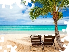 deck chair, holiday, Beaches, Palm, sea