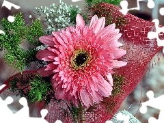 decoration, Pink, Gerbera