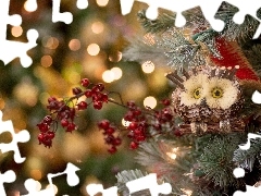 decoration, Park, owl, Plant, trees