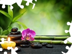 decoration, Spa, Stones, Green, bamboo