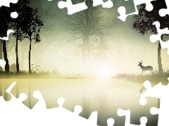 lake, forest, deer, Fog