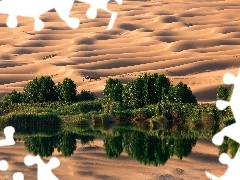 Sand, viewes, Desert, trees