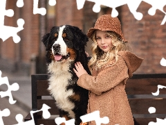 girl, Bernese Mountain Dog, Bench, Hat