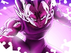 Dragon Ball, Vegeta