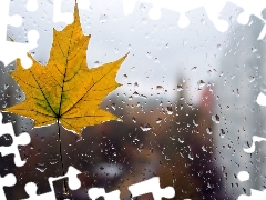 maple, Glass, drops, leaf