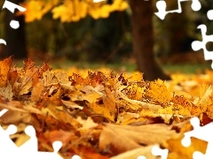 dry, Autumn, Leaf
