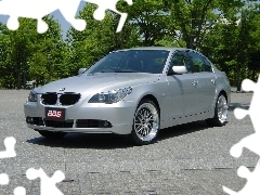 E60, BMW 5, trees, viewes, square, silver