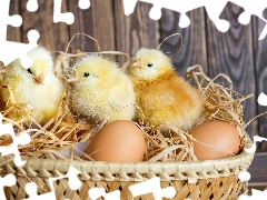 chickens, eggs, Easter, basket