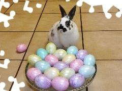 Rabbit, eggs, easter, basket