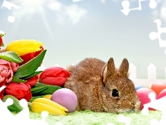 Rabbit, eggs, Easter, Tulips