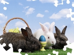 Three, basket, egg, Rabbits