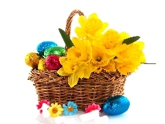 basket, chocolate, eggs, Daffodils