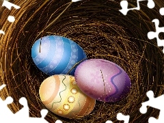 eggs, nest, color