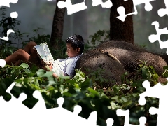 Elephant, boy, Book