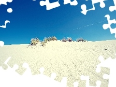 Desert, Bushes, embers, Sand