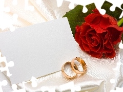 envelope, rose, rings