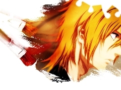 Brushes, ichigo kurosaki, face