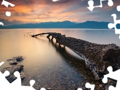 trees, Lake Maggiore, fallen